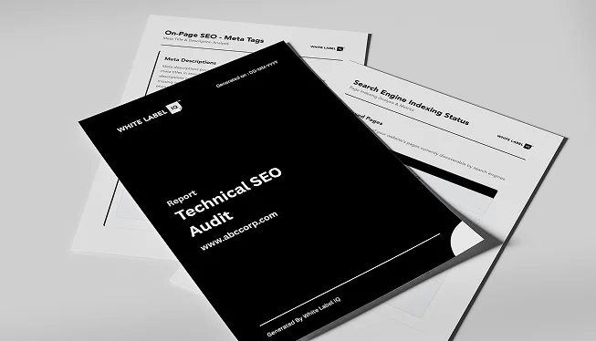 Technical SEO Audit Analysis